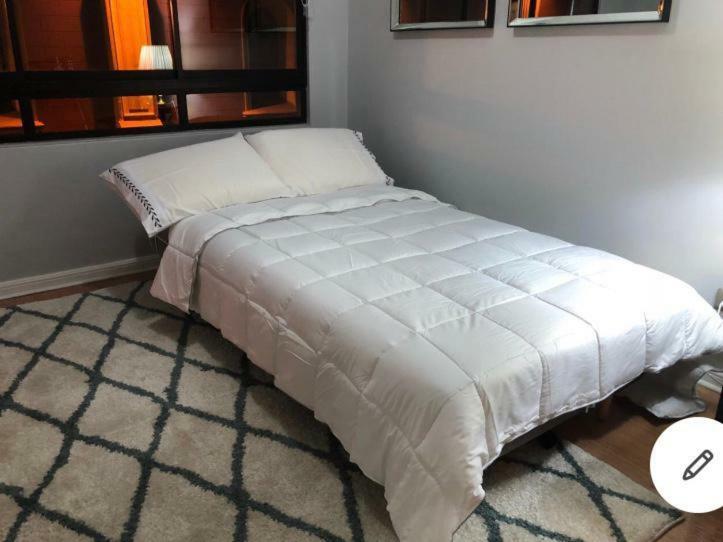 Stay Santiago Lastarria Bellas Artes Zewnętrze zdjęcie